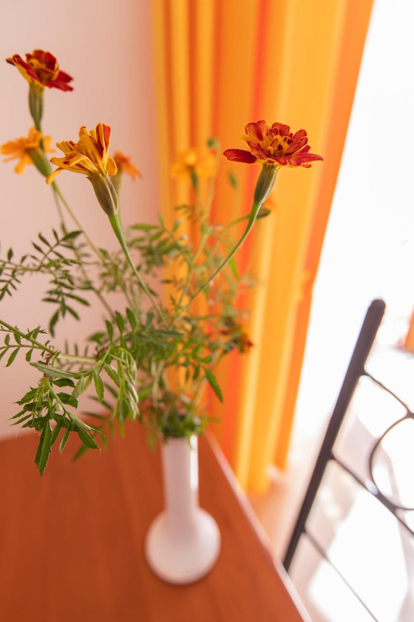 Sant'Anna Bed & Breakfast Аджерола Экстерьер фото